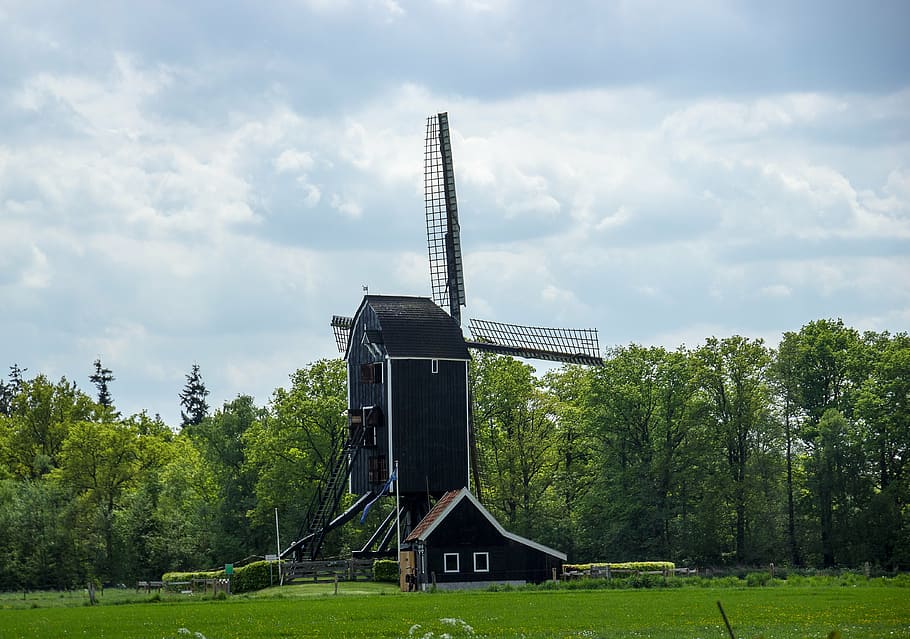 mill, landscape, netherlands, plant, tree, cloud - sky, architecture HD wallpaper