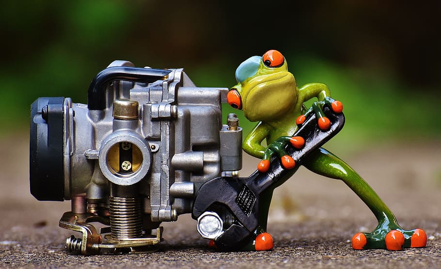 tree frog fixing gray engine, mechanic, screwdrivers, carburetor