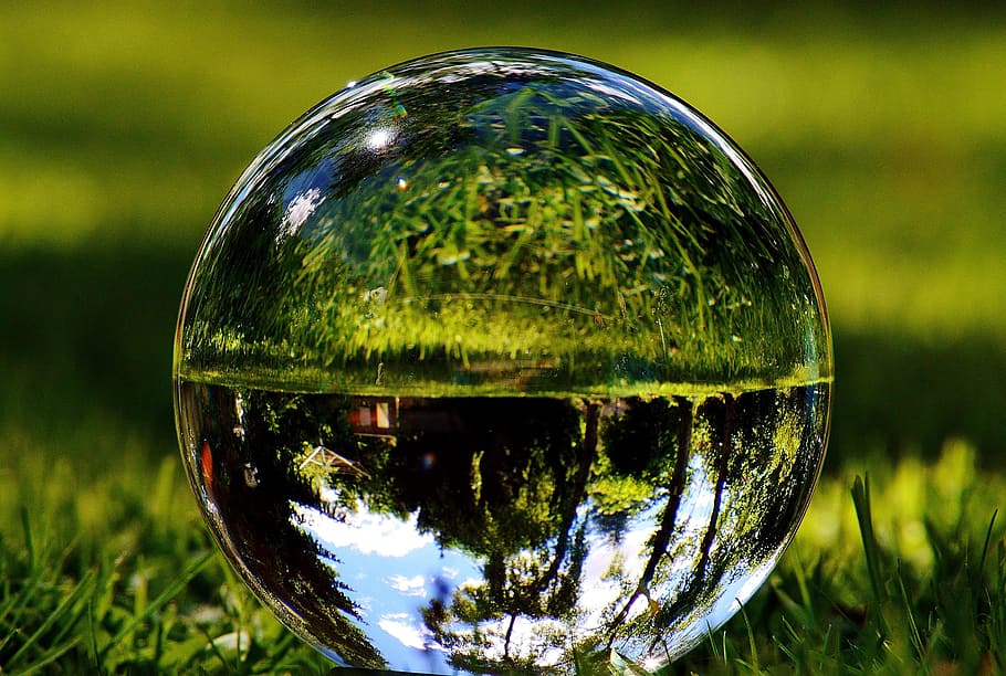 ball, plant, sphere, grass, reflection, close-up, nature, focus on foreground HD wallpaper