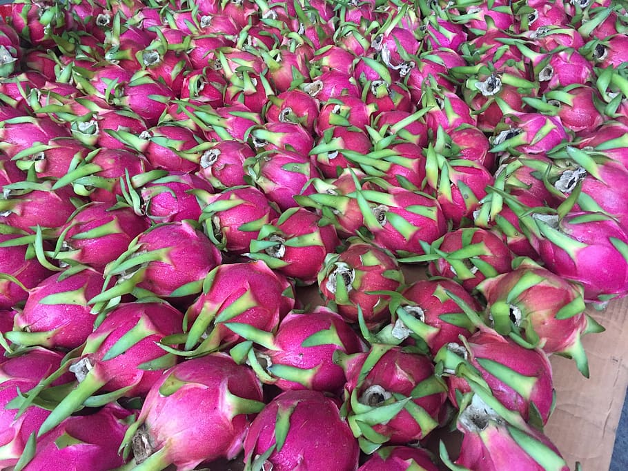 dragon fruit, fresh, food and drink, freshness, full frame HD wallpaper