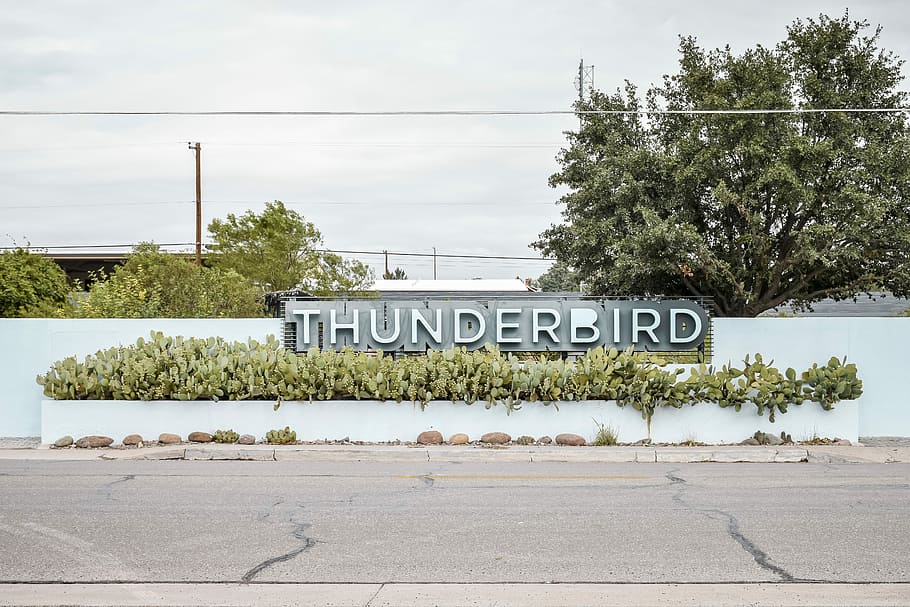 teal wall with Thunderbird signage, Thunderbird signage taken at daytime HD wallpaper