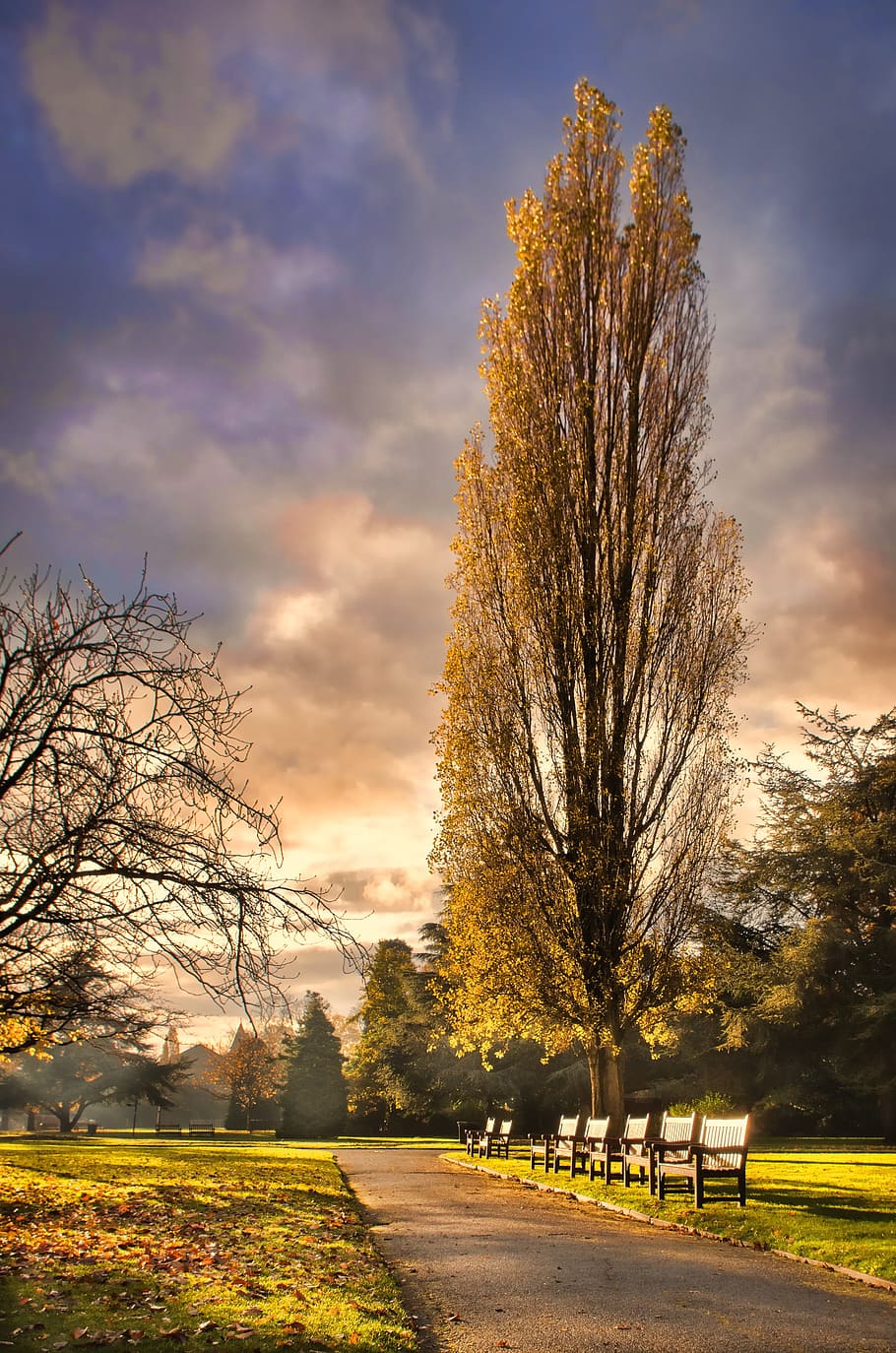 empty park during sunset, chester, autumn, high dynamic range HD wallpaper