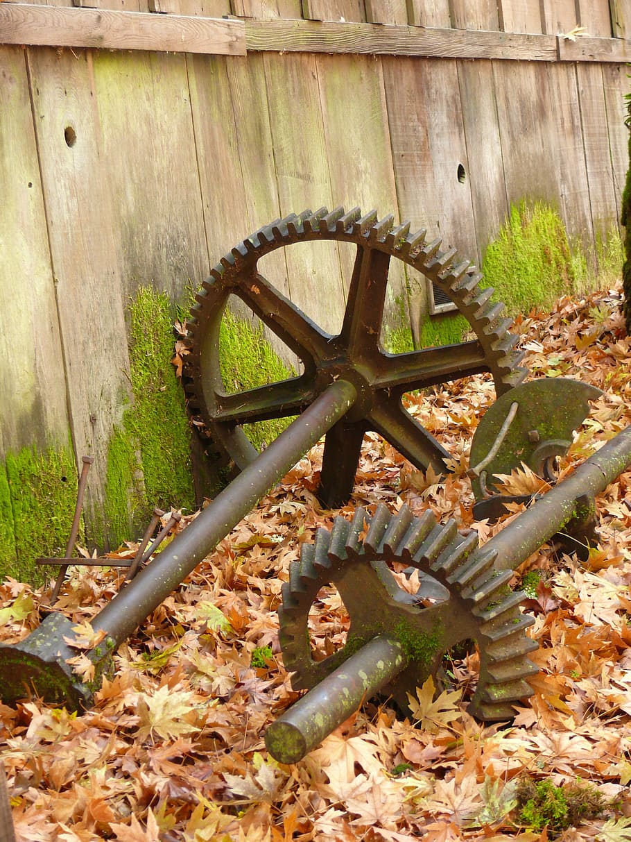 cogs, cogwheels, leaves, foliage, weathered, grist mill, machine HD wallpaper
