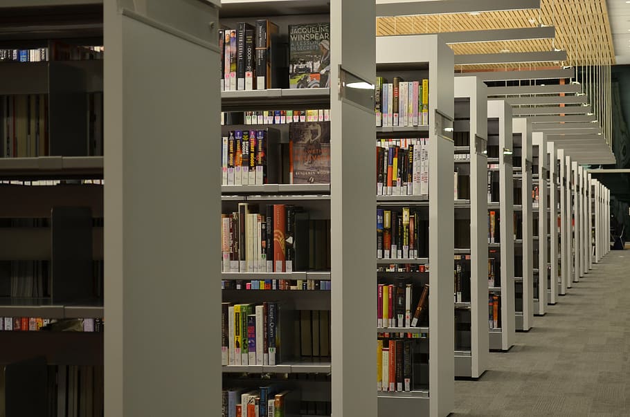 view of bookshelves inside room, cornell university, library, HD wallpaper