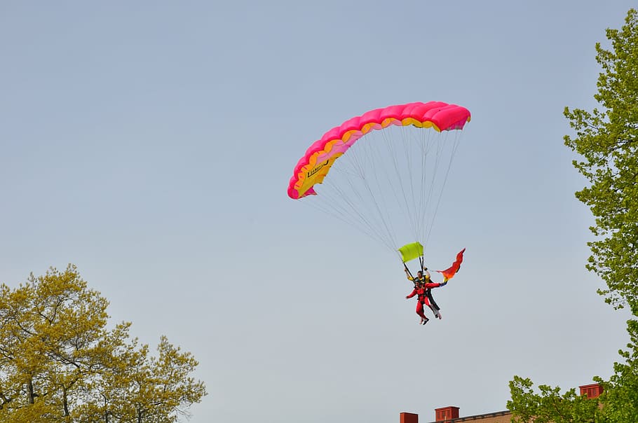 parachute, tree, himmel, sport, mid-air, extreme sports, adventure HD wallpaper
