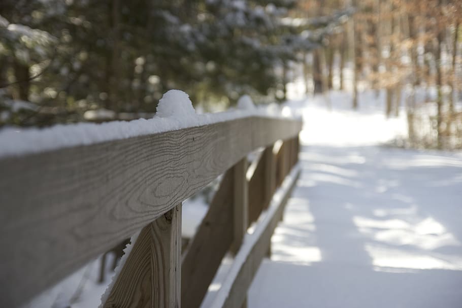 brown wooden backyard, fence, winter, snow, focus, blurred HD wallpaper