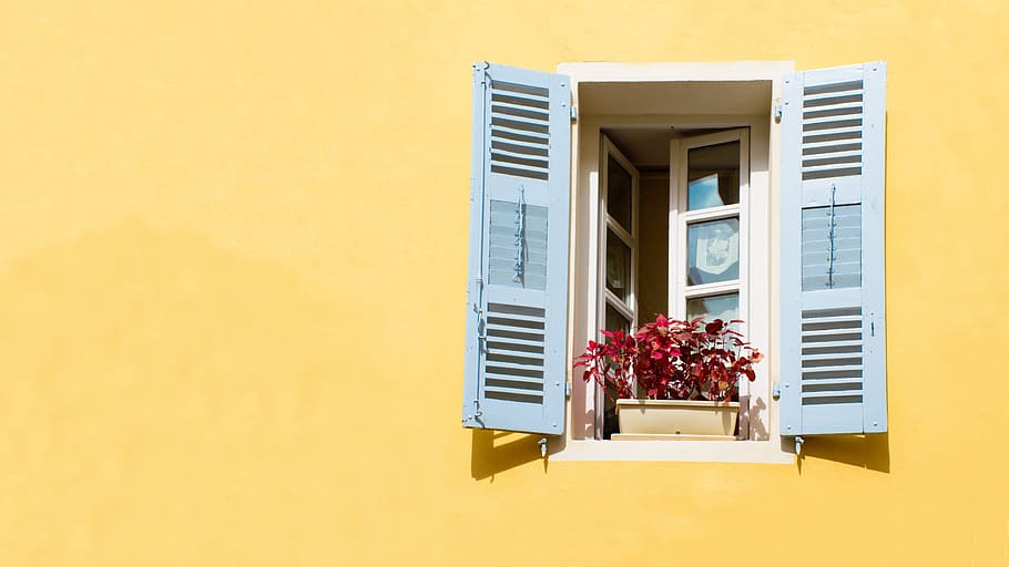 window, wall, picturesque, pane, flower, yellow, blue, white HD wallpaper