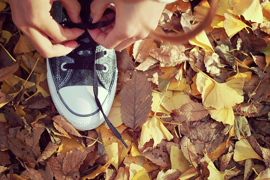 person tying black and white Converse All Star sneaker, autumn, HD wallpaper