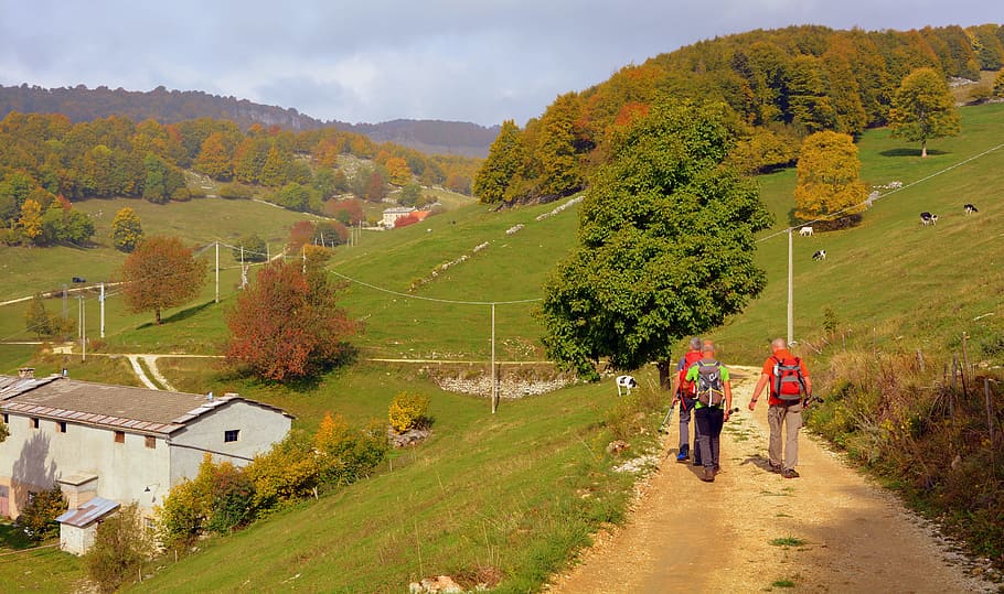 excursion, walk, trail, mountain, autumn, the european path, HD wallpaper