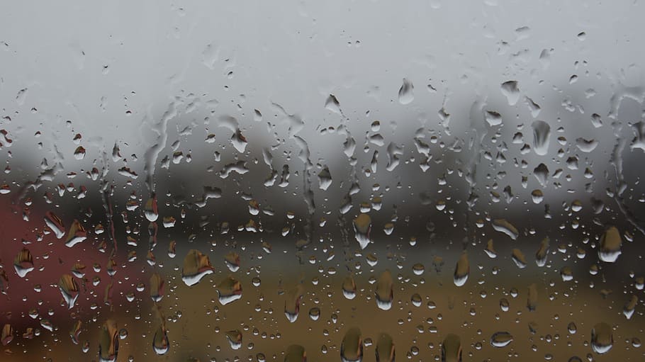 photo of water drops, rain, pane, window, a drop of, drop of rain HD wallpaper