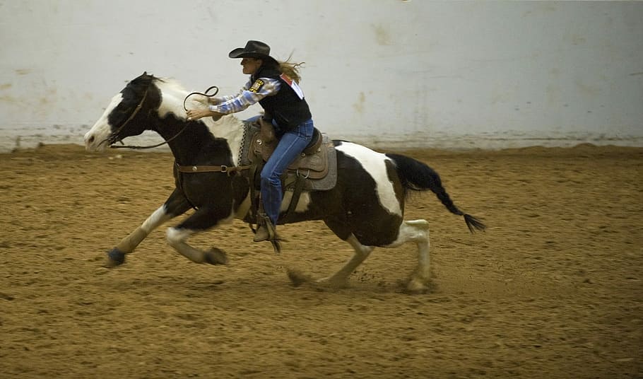 HD wallpaper Practice Barrel Racing horse fast animals  Wallpaper Flare