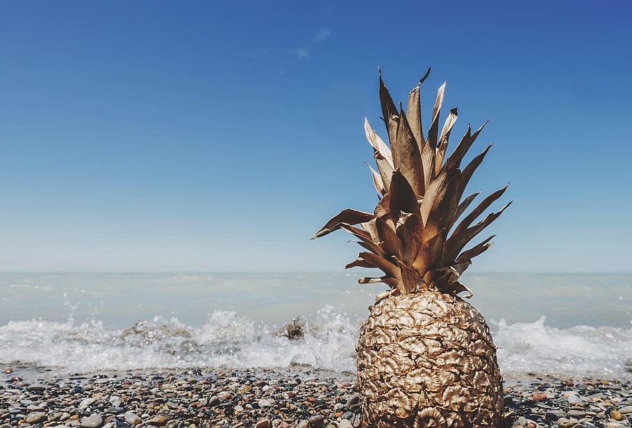 brown pineapple on seashore near water at daytime, beige pineapple on seashore HD wallpaper