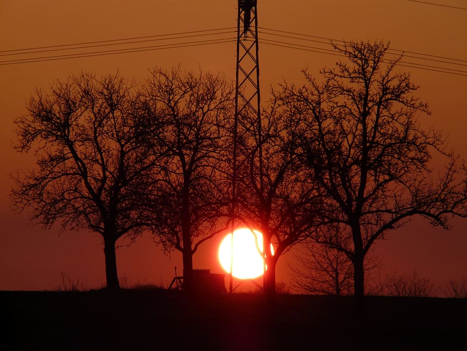 Sunset, Fireball, abendstimmung, sky, glow, romance, trees HD wallpaper