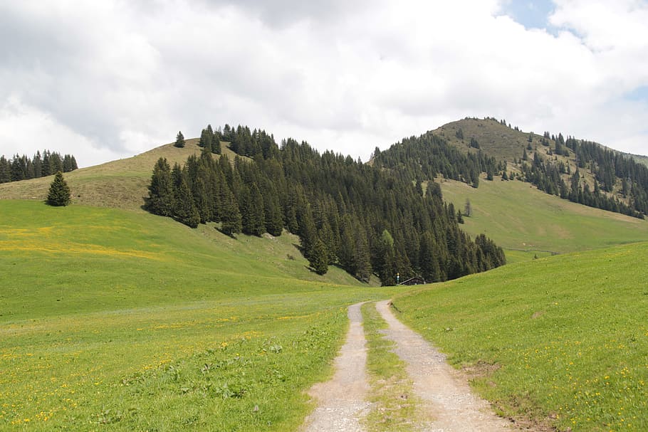 landschaft, berge, alpen, cloud - sky, plant, grass, green color, HD wallpaper