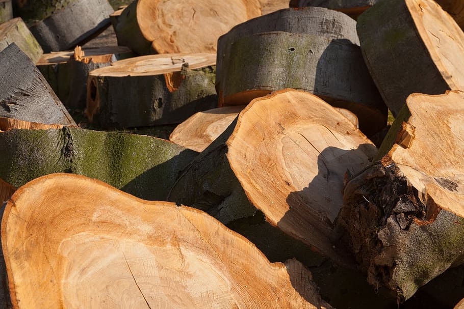 Chainsaw, Timber, Trunk, Tree, Cut, Wood, pile, firewood, pieces, HD wallpaper