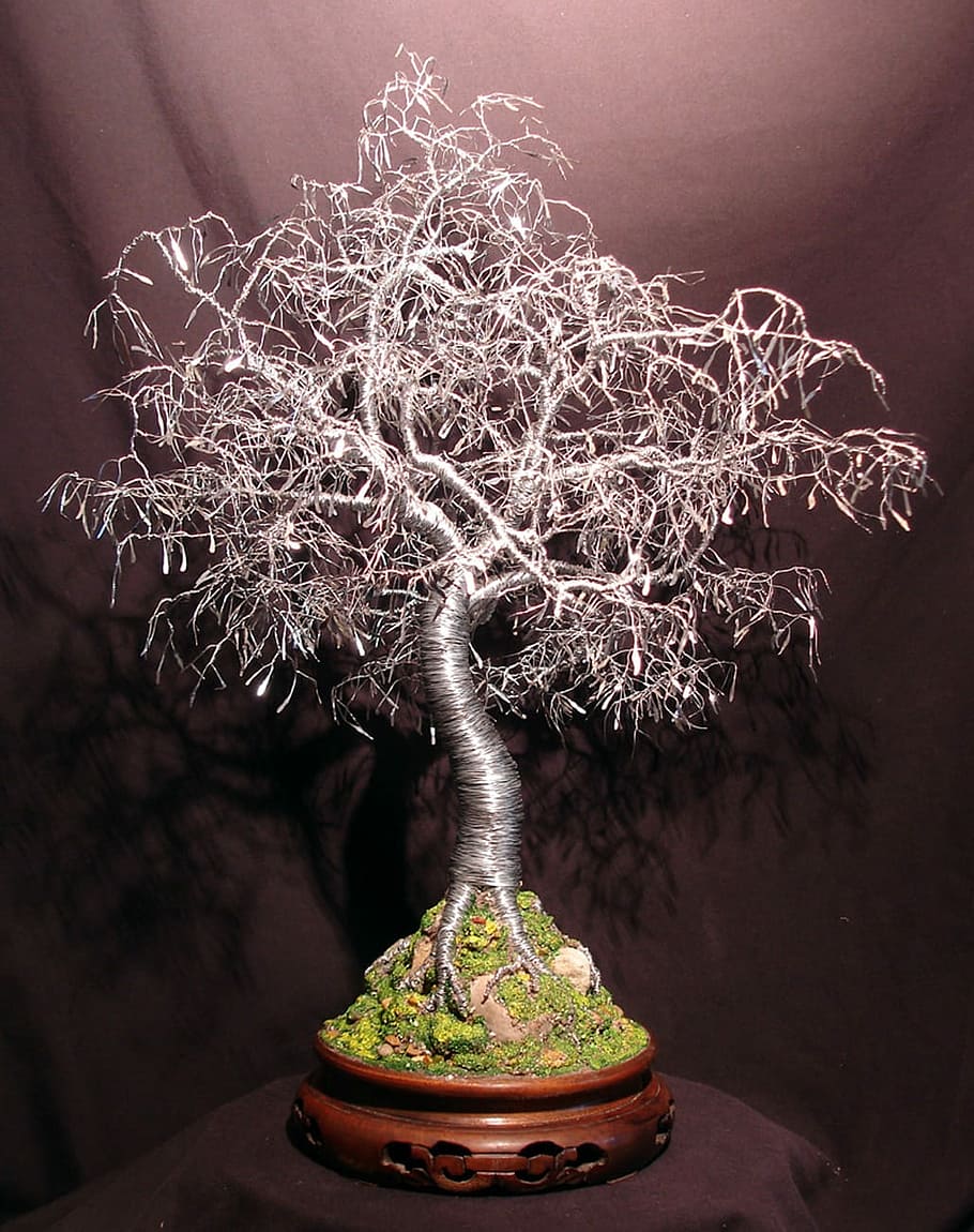 Bonsai, Tree, Sculpture, Wire, Art, Work, nature, sal, no people HD wallpaper