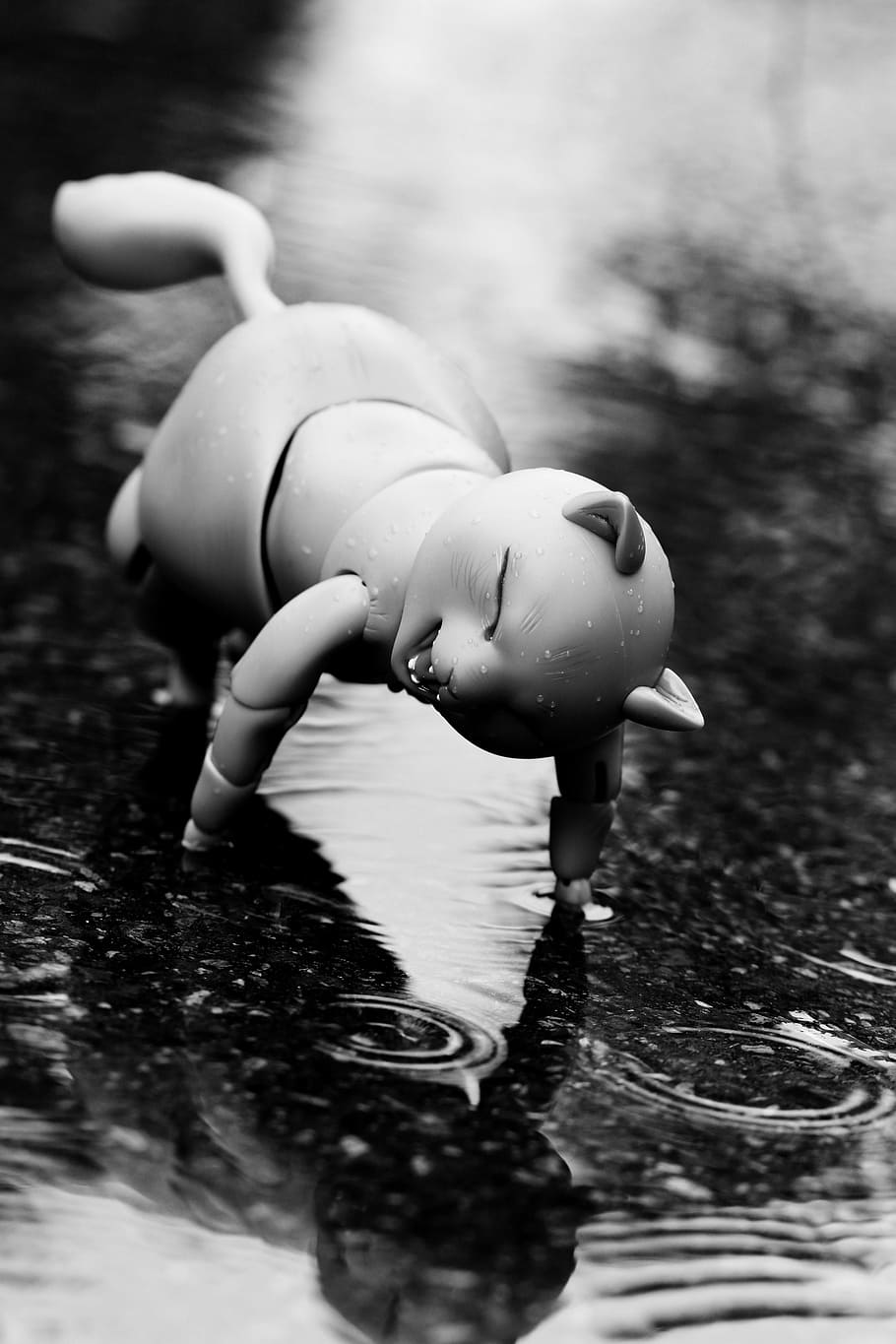 Toy, Puddle, Reflection, Fun, rain, water, one animal, outdoors HD wallpaper