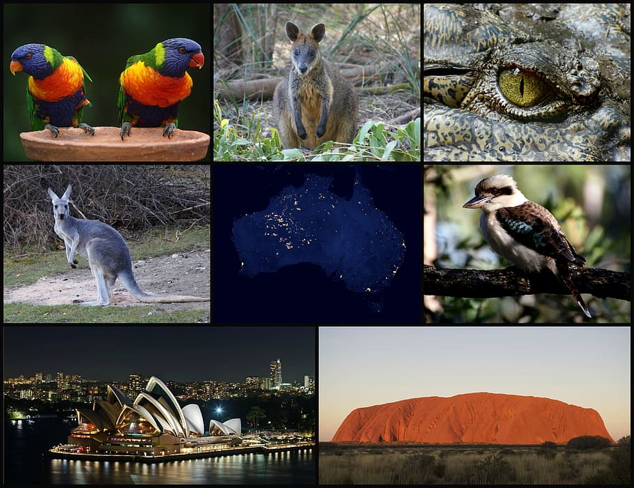 Australia, Collage, Images, Iconic, australia collage, montage, HD wallpaper