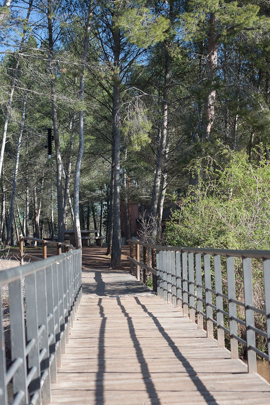 bridge, nature, forest, web, away, wood, scenic, park, tree HD wallpaper