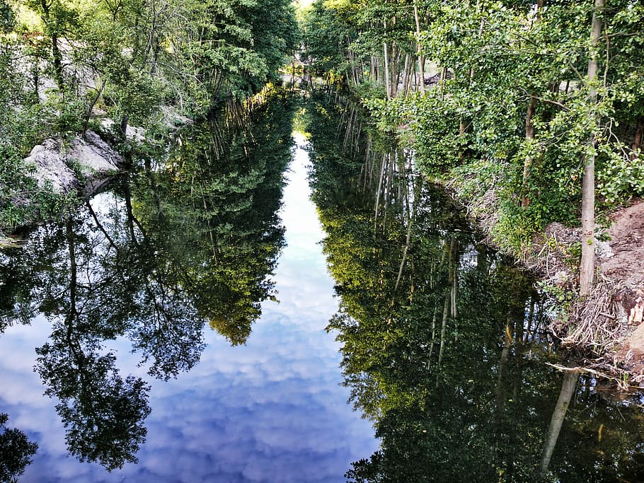 channel, the sun, reflection, tile, water, sky, plant, tree HD wallpaper