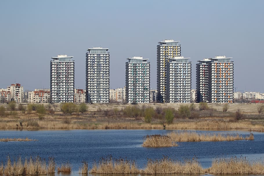 several high-rise buildings cityscape, city building near body of water under clear sky HD wallpaper