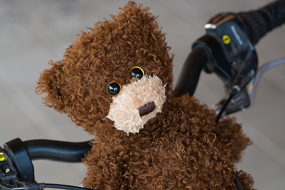 teddy, teddy bear, brown, bike, handlebar, a ride, childhood, HD wallpaper