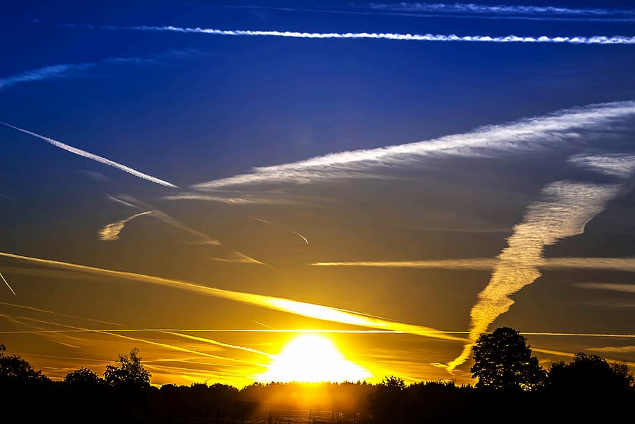golden hour, sunrise, sunbeam, sky, skies, rays, forest, nature HD wallpaper