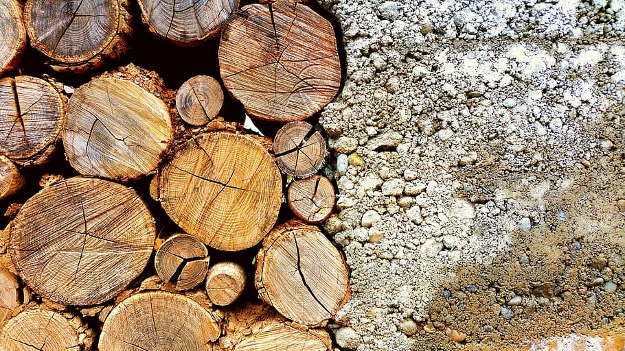 Photo of Brown Log and White Pebbles, bark, close-up, concrete HD wallpaper