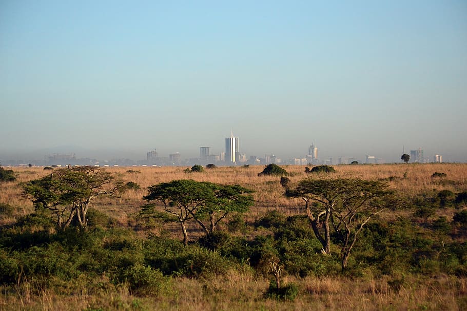 landscape photography of savanna, nairobi, kenya, africa cityscape, HD wallpaper