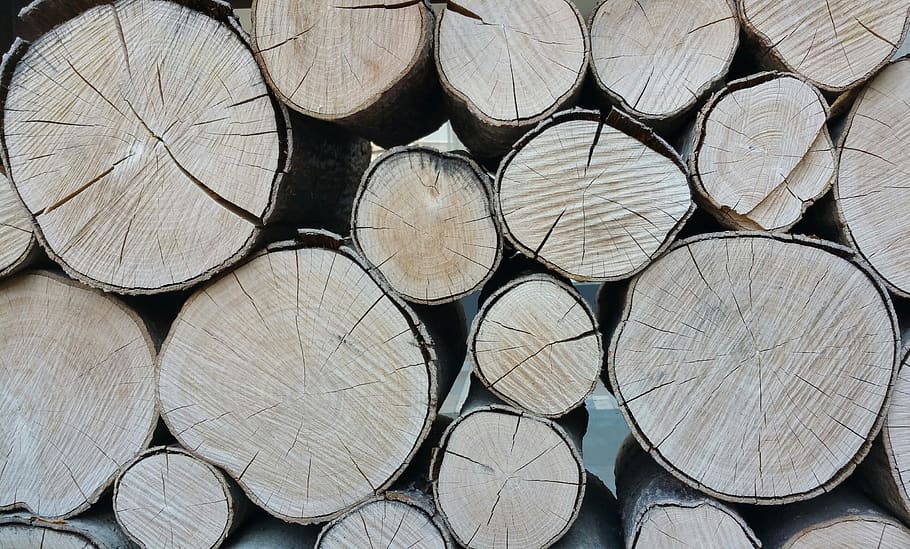 wood, commodity, full frame, backgrounds, wood - material, timber HD wallpaper
