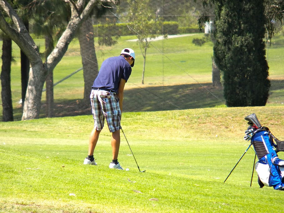 man playing golf, golfing, sport, shot, game, ball, green, course, HD wallpaper