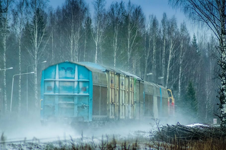 blue train traveling beside forest, winter, the train track HD wallpaper