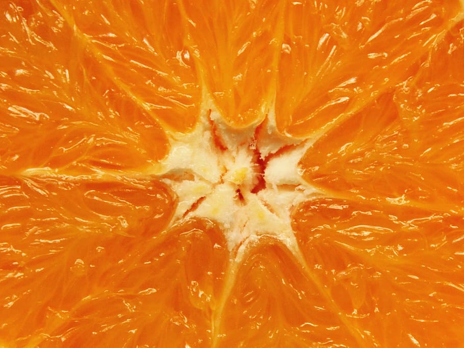 closeup photo of orange citrus fruit, citrus fruits, frisch, healthy