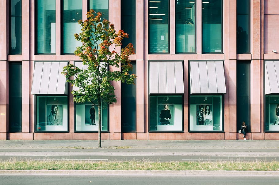 tree near road and pink building, person sitting beside store front HD wallpaper