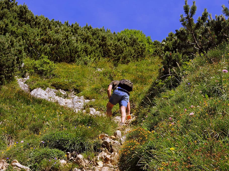 ascent, walk, trail, mountain, hiking, grass, green, fatigue HD wallpaper