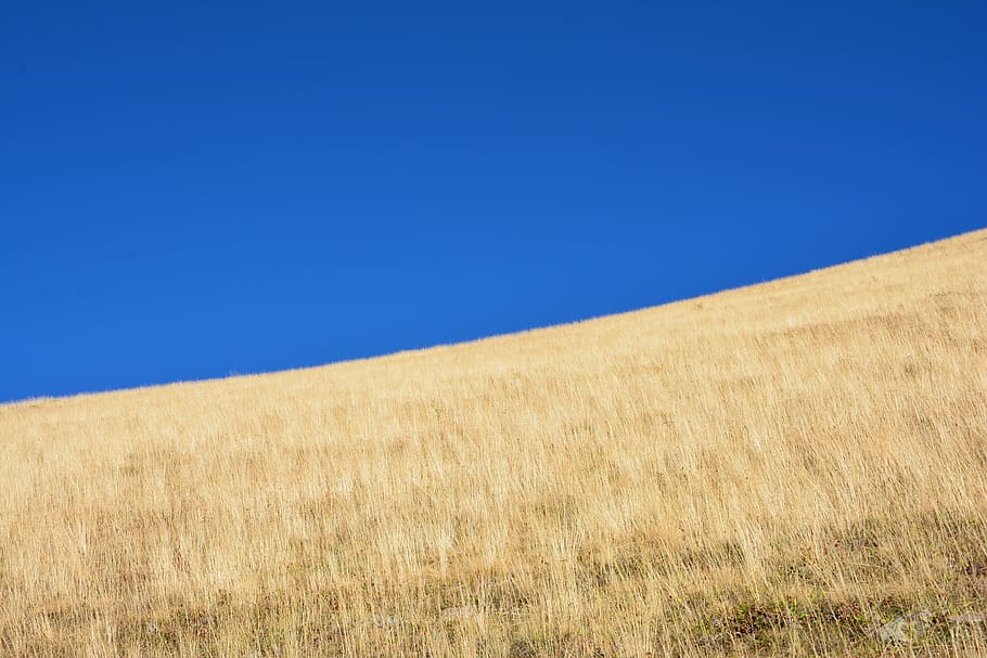 grass, kaçkars, nature, green, mountains, landscape, beautiful HD wallpaper
