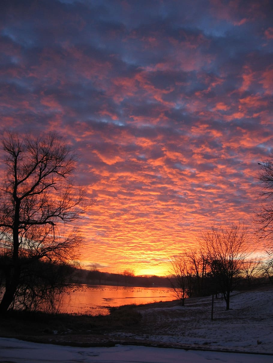 dawn, sunset, dusk, evening, landscape, sky, cloud - sky, tree HD wallpaper