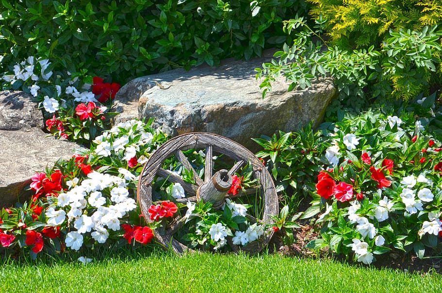 flowers, nature, composition, spring, wooden wheel, plant, flowering plant HD wallpaper