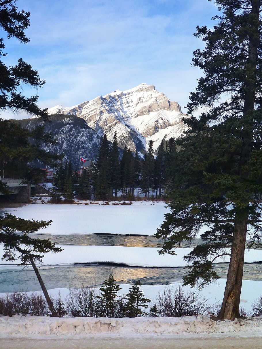 Banff, Landscape, Winter, Cold, winter landscape, trees, mountains HD wallpaper