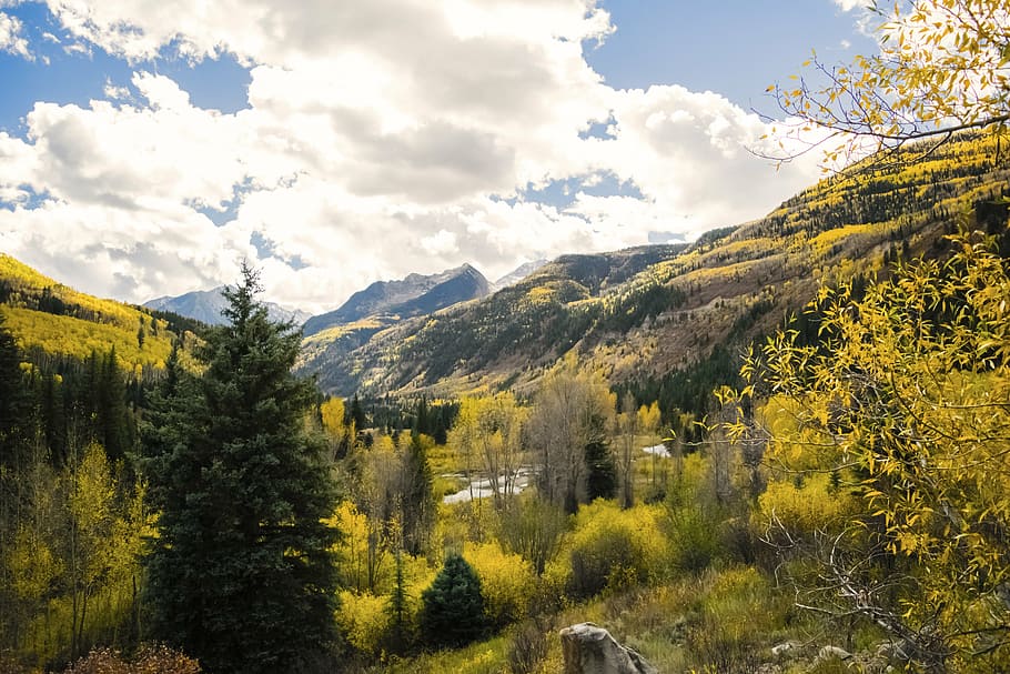 green leafed trees near mountain during daytime, colorado, fall leaves