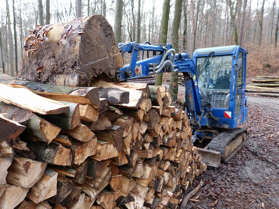 forest, wood, tree, tree cases, forest work, vehicle, excavators HD wallpaper