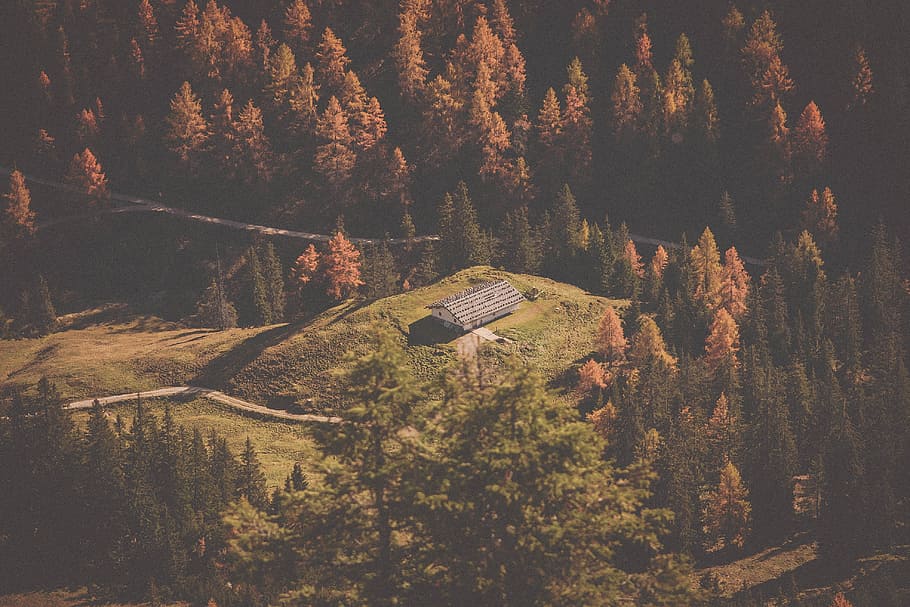 aerial photo of house surrounded by pine trees during daytime, white and gray house on mountain during daytime HD wallpaper