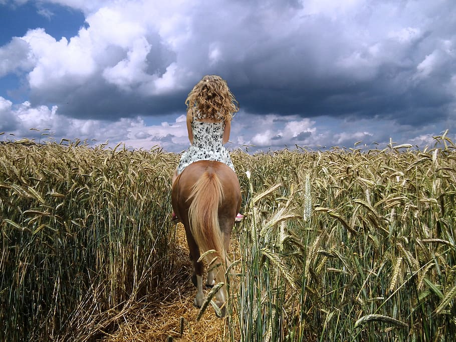 woman riding brown horse on wheat field during cloudy day, horsewoman, HD wallpaper