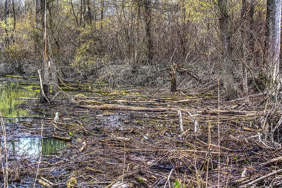 devastation, high water, force, staff, broken, aesthetic, log HD wallpaper