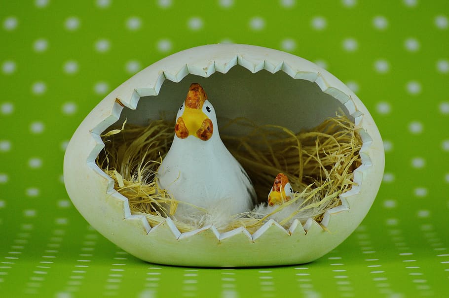 easter, egg, colorful, chickens, happy easter, colorful eggs HD wallpaper