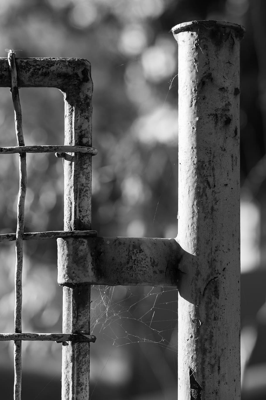 fence, wires, web, metal, iron, structure, black and white HD wallpaper