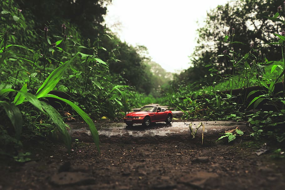 car, grass, soil, miniature, BMW, car model, daylight, toy car HD wallpaper