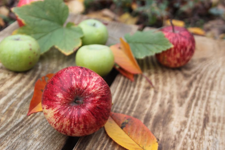 aples, fruit, apple, apples, red apple, green apple, food and drink, HD wallpaper