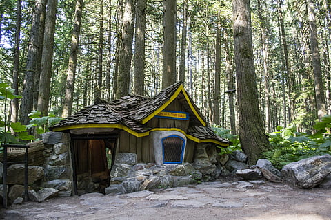 house surrounded by trees, Forest, Path, Magic, Magical, Nature HD wallpaper