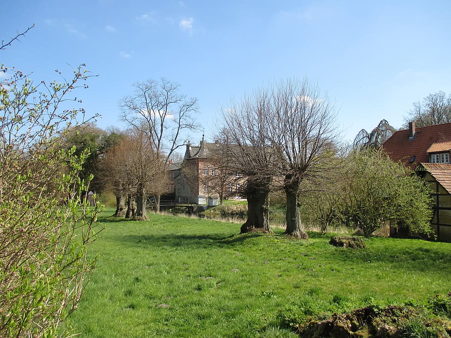 landscape, northern germany, pollarded willows, meadow, manor HD wallpaper